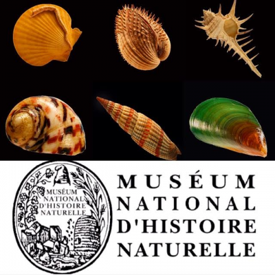 Museum